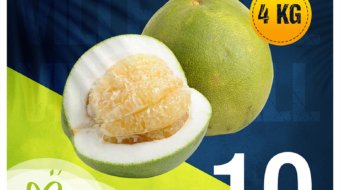 portfolio-social-media-design-60