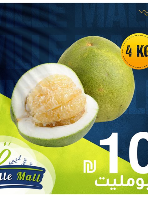 portfolio-social-media-design-60